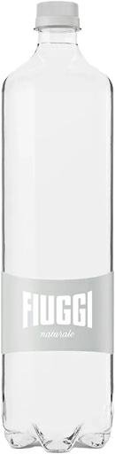 ACQUA_FIUGGI_1LT_NATURALE(CONF.6_PZ)____________________________